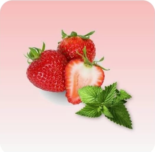 Fraise menthe