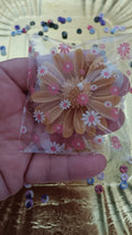 Marguerite senteur violette rose