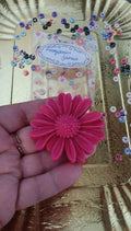 Marguerites senteur frangipanier jasmin