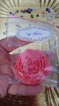Pivoine senteur lys blanc