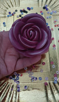 Grande rose senteur pop corn